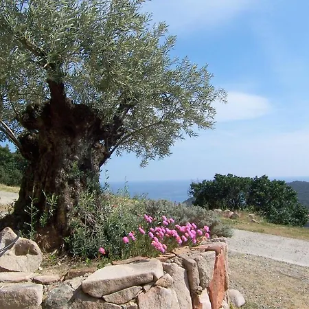 Carole F3 Apartment Sainte-Lucie de Porto-Vecchio