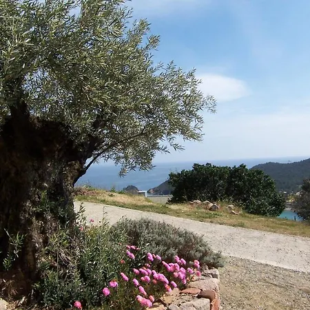 Apartment Carole F3 Sainte-Lucie de Porto-Vecchio