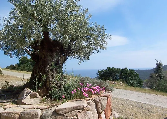 Carole F3 Appartement Sainte-Lucie-de-Porto-Vecchio